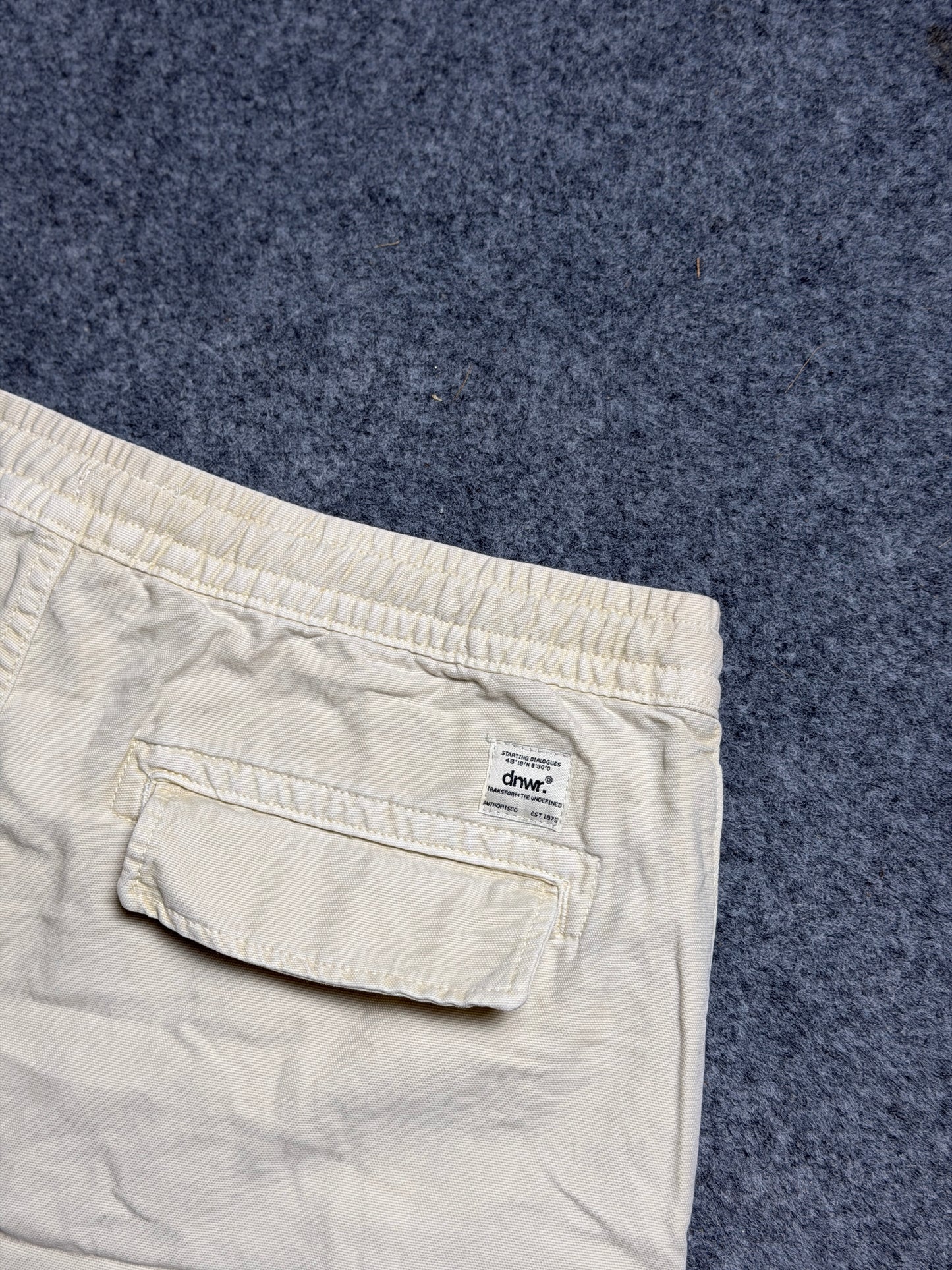 Zara Shorts